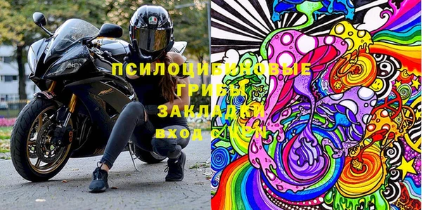 бошки Абинск