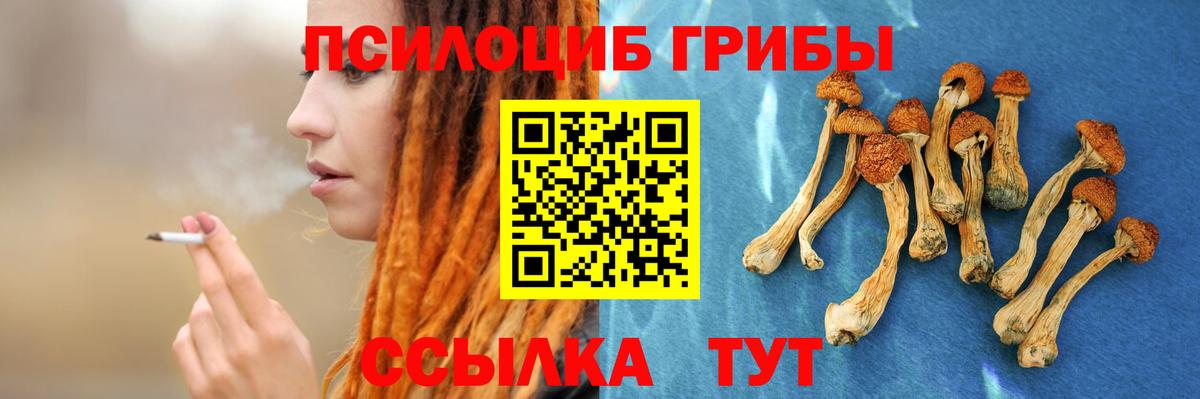 Псилоцибиновые грибы мицелий Тихорецк